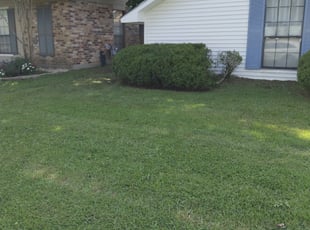Bush Trimming by Brent Olinde for Albert C. in Baton Rouge, LA