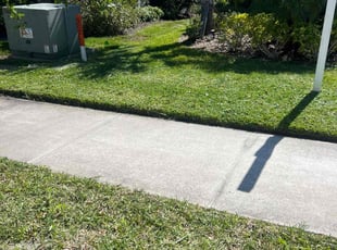 Michael S.'s Grass Cutting service result