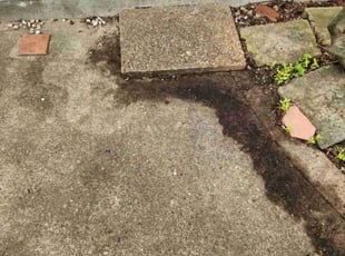 Leaf Removal by Kevin Reynolds for Kendy M. in Columbus, OH