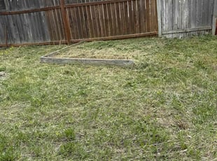 Landscaping by Alma Bonar for Dawna B. in Salt Lake City, UT