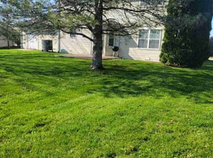 Christopher S.'s Lawn Mowing Service service result