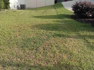 Bush Trimming by Benjamin Dobbs for DYWON H. in Villa Rica, GA