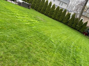 Page E.'s Lawn Maintenance service result