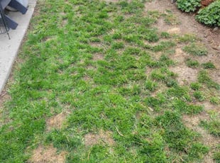 Aeration by Jason Bickler for Kristen C. in Boulder, CO
