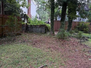 Tairra P.'s Bush Trimming service result