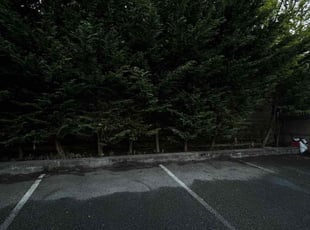 Leaf Removal by Ricardo Lopez for David B. in Boston, MA