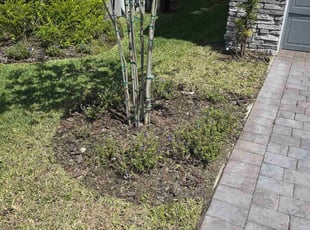 Weeding by Jon Mccormick for David S. in Sanford, FL