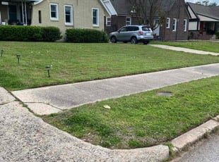 MONICA S.'s Grass Cutting service result