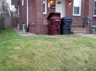 Cleanups by Walter Baynard III for Elise B. in Wilmington, DE