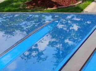 Cleanups by Megan Tartamella for Carolann G. in Warren, MI