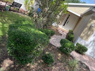 Bush Trimming by Johnny Torres for Sarah G. in Riverview, FL