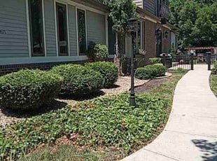 Bush Trimming by Daquane Davis for Mercedes R. in Greenwood, IN