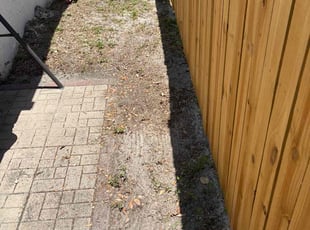 Leaf Removal by Jacob Thompson for Curt C. in Pinellas Park, FL