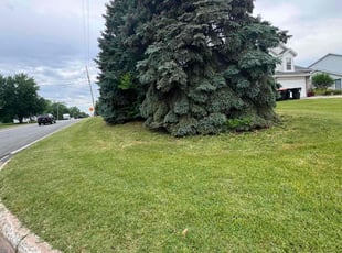 Candace K.'s Lawn Mowing service result