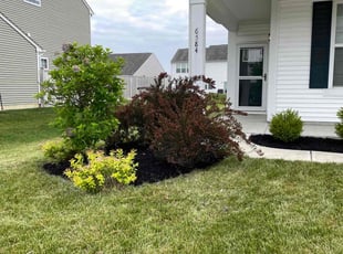 Cleanups by Joel Real for Tyler S. in Whitestown, IN