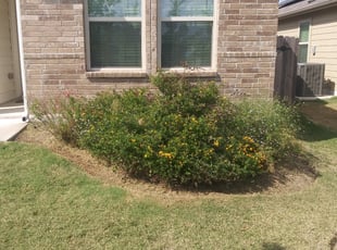 Weeding by Geovanni Vargas for Patrick S. in Austin, TX