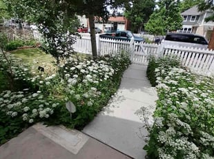 Bush Trimming by Uriel Méndez Rubalcava for Gray W. in Denver, CO