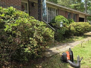 Bush Trimming by Kyle Bryant for Sonja S. in Piedmont, SC