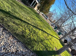 Leaf Removal by Jacques Chauvin for Monique T. in Aurora, CO
