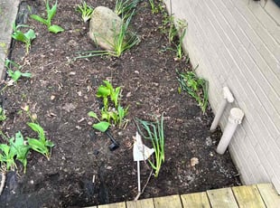 Leaf Removal by Jobe Homan for Sydnie M. in Cincinnati, OH