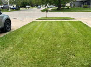 Patricia P.'s Lawn Service service result