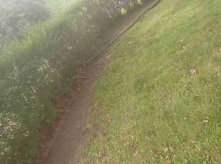 Leaf Removal by Rayshawn Martin for Zerryck R. in Cleveland, OH