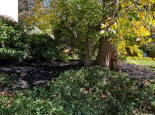 Mulching by Ted Reimel for Sharon P. in Voorhees Township, NJ