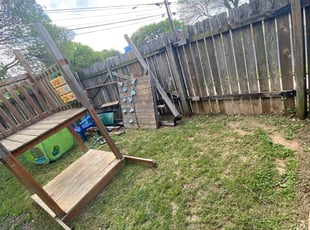 Leaf Removal by Vicente Lopez for Mary H. in Austin, TX