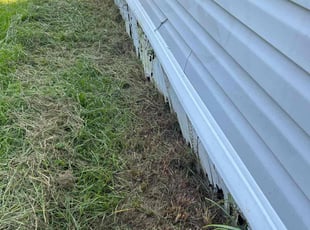 Cleanups by Matthew Schmidt for Liz Y. in Cantonment, FL