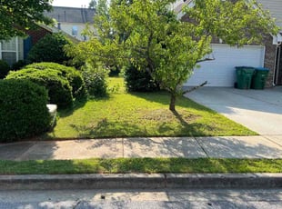 Aden H.'s Lawn Mowing service result
