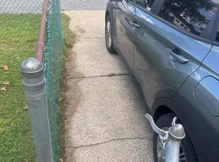 Leaf Removal by Teresa Thompson for Azuri C. in Middle River, MD