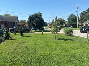 Rosita W.'s Lawn Care service result
