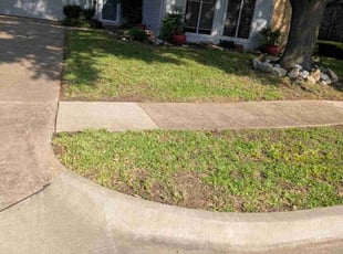 Leaf Removal by Elizabeth Cruz for Fred N. in Garland, TX