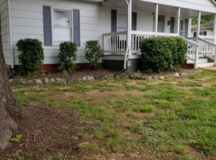 Bush Trimming by David Fregeau for MELLASIA R. in Charlotte, NC