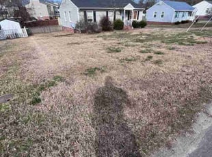 Leaf Removal by Joshua West for Jeff B. in Mechanicsville, VA