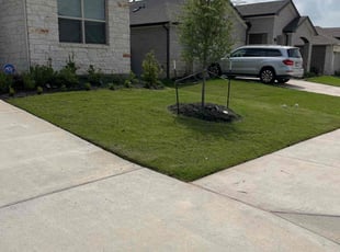 Giduk B.'s Yard Cutting service result