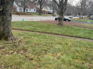 Leaf Removal by Clay Allen for George s. in Indianapolis, IN