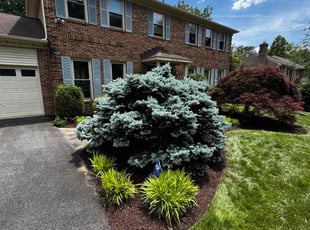 Mulching by Jairo Villagran for Marvin P. in Potomac, MD
