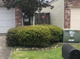 Bush Trimming by Johnnie Spears for Victoria G. in Baton Rouge, LA