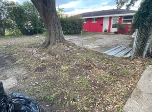 Leaf Removal by Juan Manson for Edmond B. in New Orleans, LA