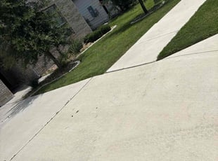 Bush Trimming by Hector Espinosa for Piotr R. in Manor, TX