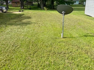 Cynthia T.'s Lawn Care service result