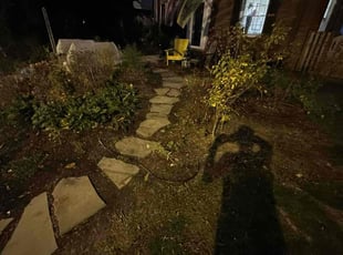 Cleanups by Edgar Elmore for Maia M. in Washington, DC