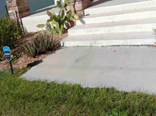 Weeding by George Shuler for Sarah L. in Tampa, FL