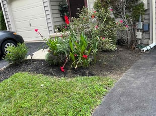 Weeding by Robert Edwards for Carly T. in Wilmington, DE