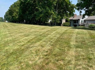 Gerry O.'s Lawn Mowing service result