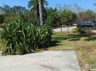 Cleanups by sergio beltran for M V. in Longboat Key, FL