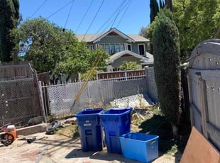 Bush Trimming by Alexander Stevenson for Michael C. in Los Angeles, CA