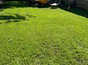 Aiesha P.'s Lawn Service service result