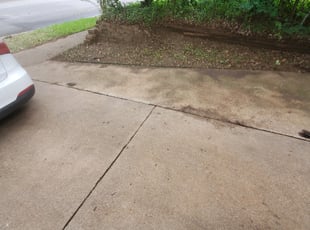 Leaf Removal by Mario Castro for Denise K. in Bedford, TX